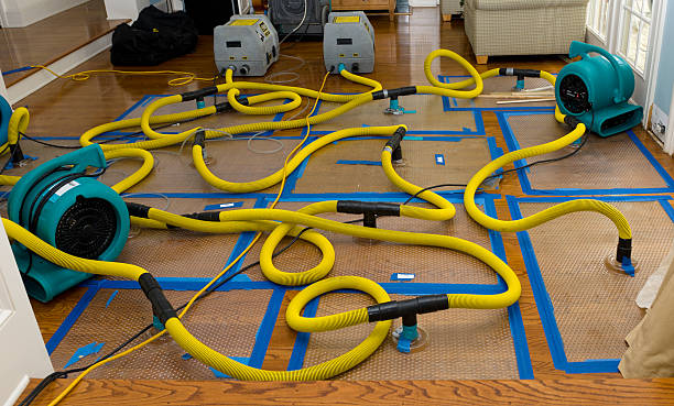 Professional Sewage Cleanup technician working in Rhododendron, OR